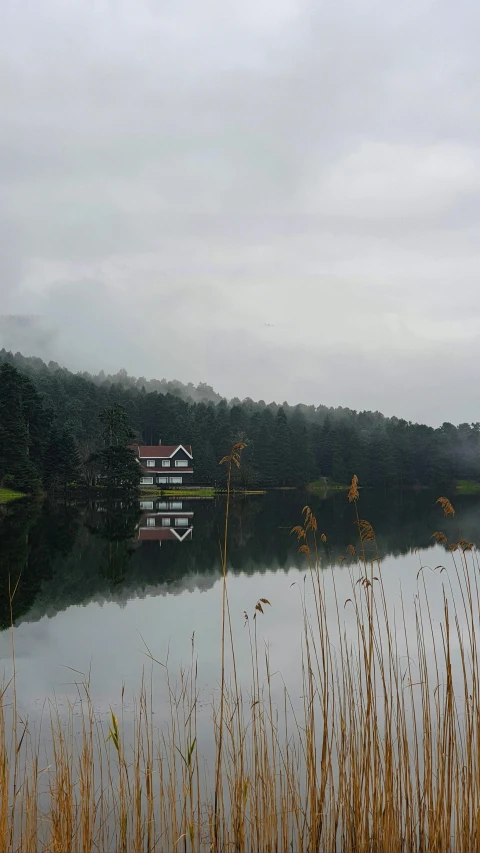 a po of a calm lake near the water