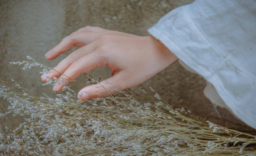 there is a person with their hand on some grass