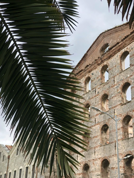 the exterior of a brick building with a palm tree on the sidewalk