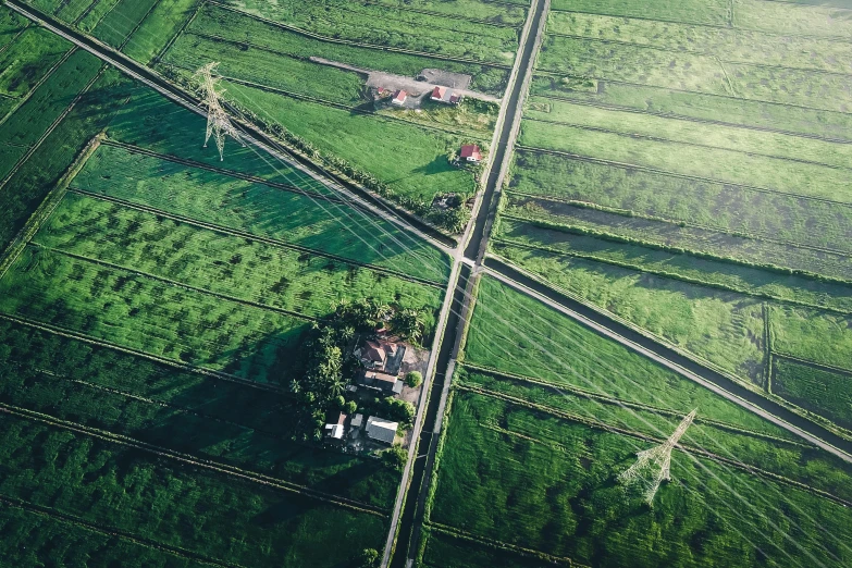 aerial view of farmland with a large farm and trees