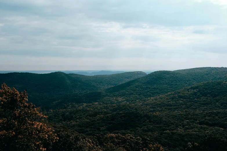 a landscape po with trees and hills