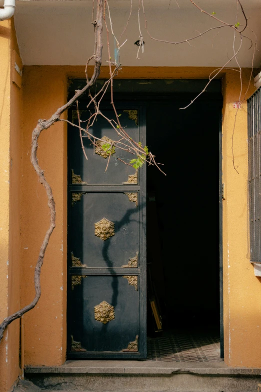 the side entrance of a small yellow house with a plant in it