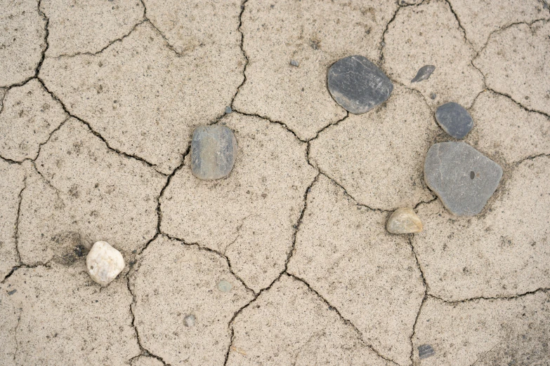 several rocks are on ed mud in a sandy area