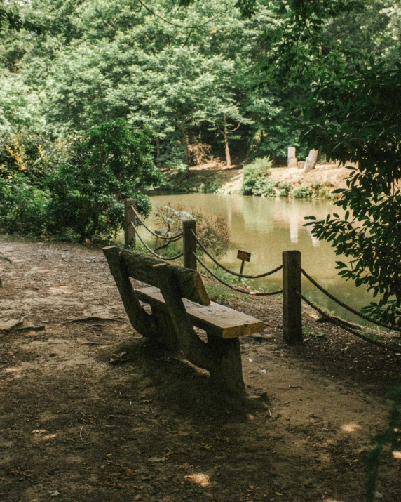 a bench by a pond near a path