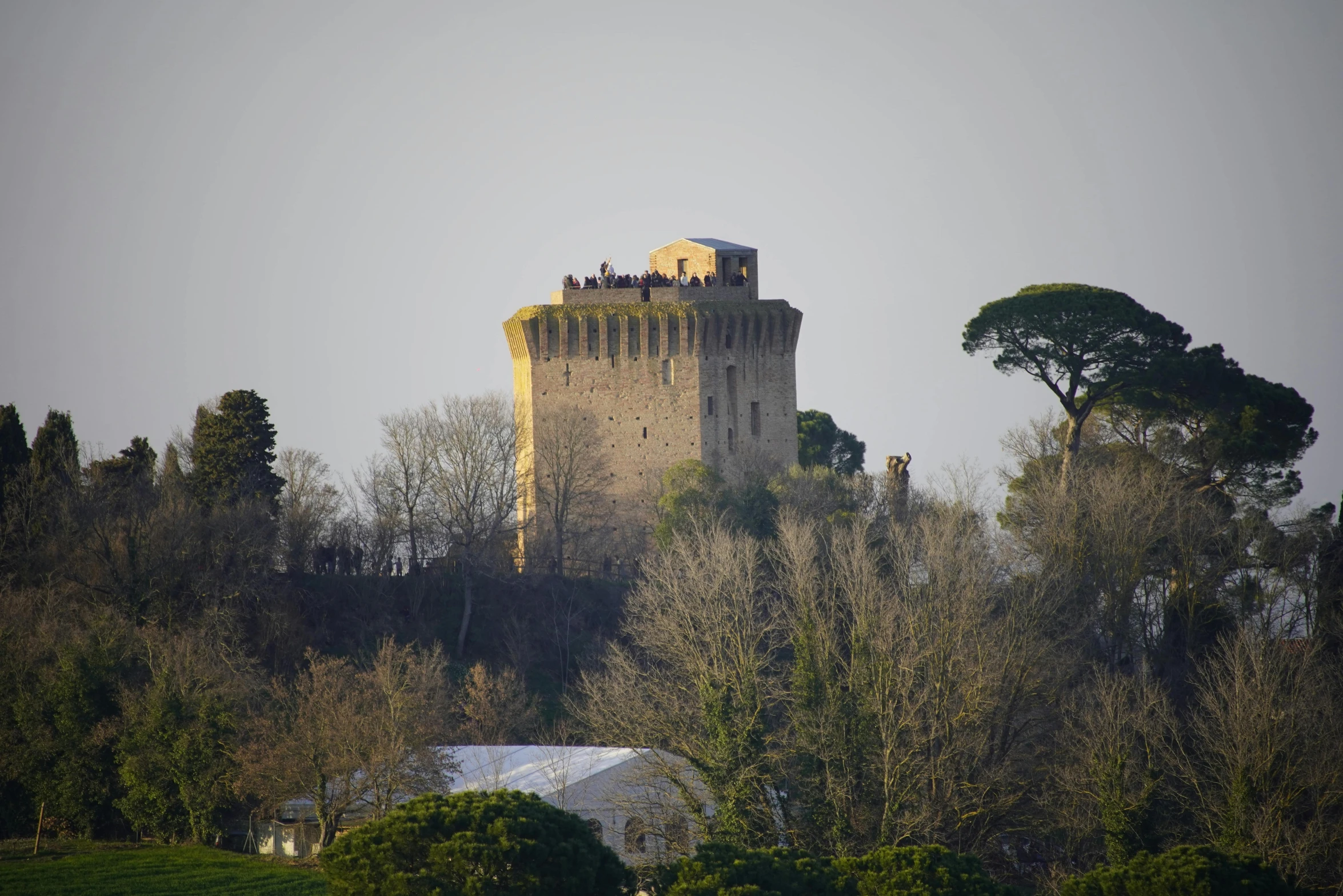 a castle like structure rises above trees on a hill