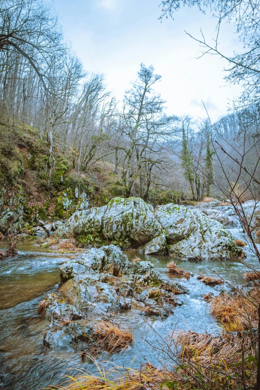 the rocky terrain is full of water and trees