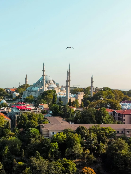 a city with a big white mosque behind it