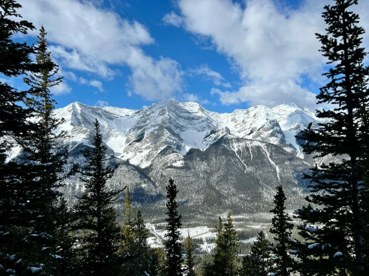 a scenic scene of mountains and a valley is framed by trees