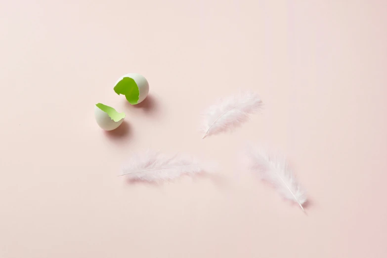 an egg, green and white feather and one white egg on pink background