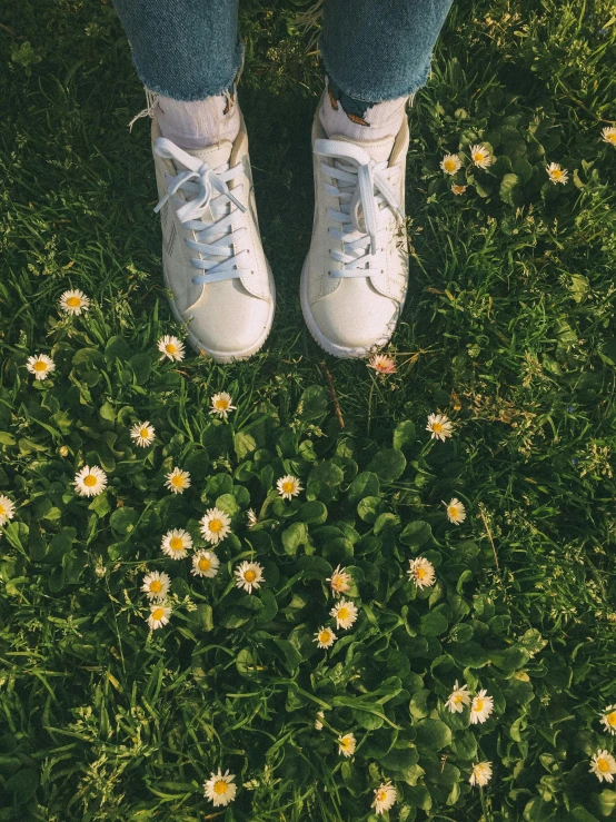 there is a pair of shoes that are sitting on a flower bed