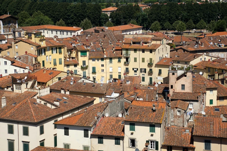 several houses in the city are very small