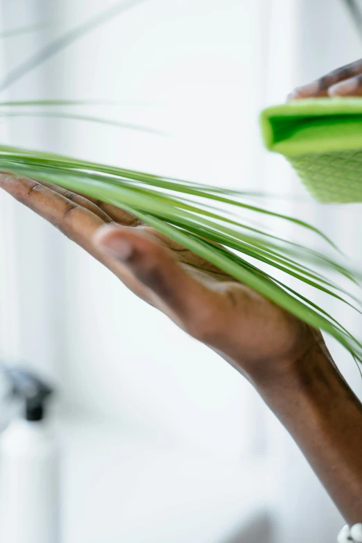 a person holding a green rag near a sink