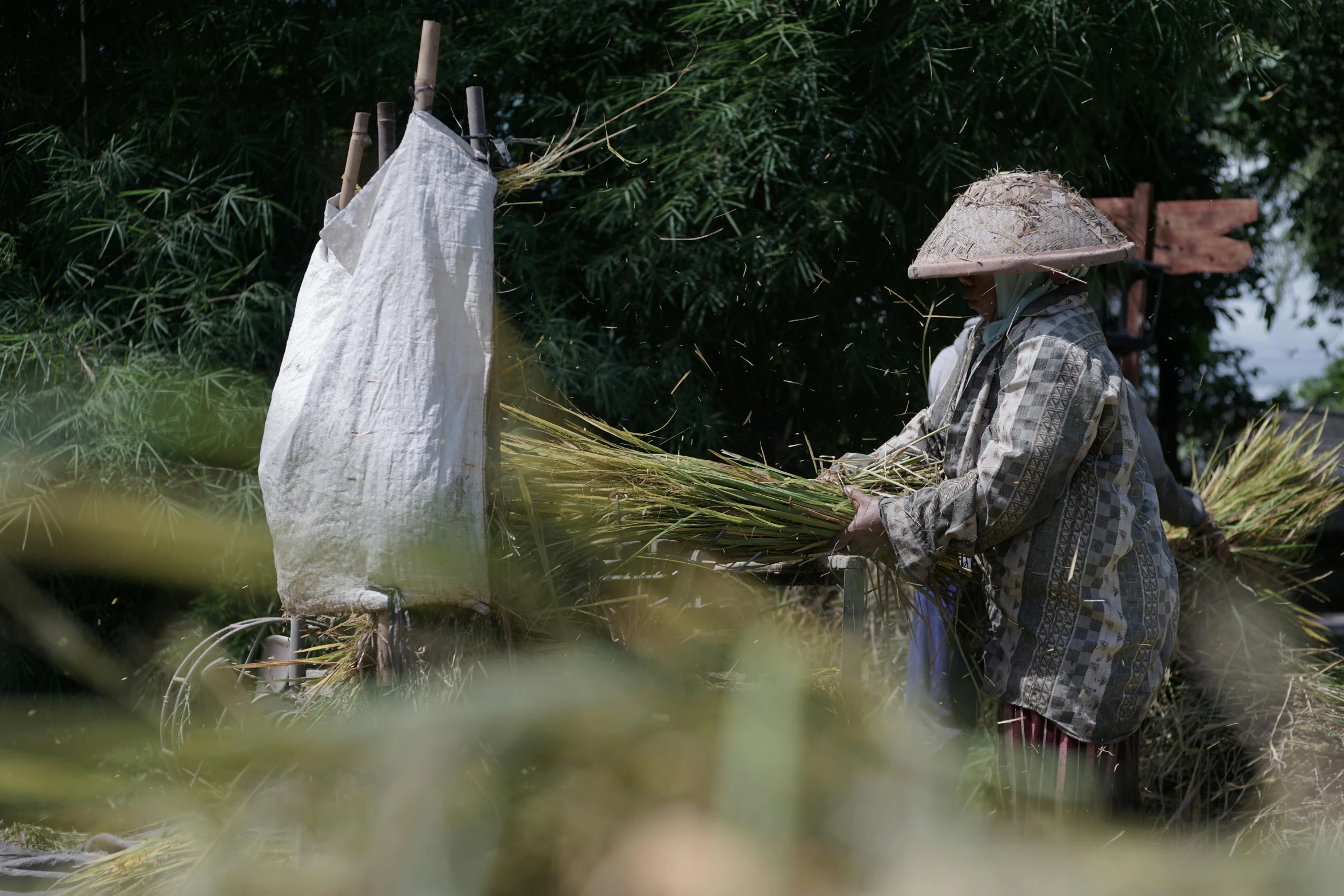 a woman holding a large bag full of plants