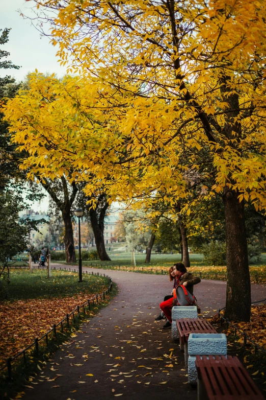 a person is sitting on the park bench