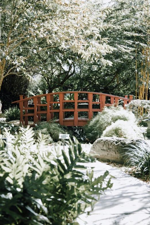 a small bridge across a dirt path between bushes