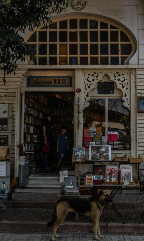 a dog is standing in front of the bookshop