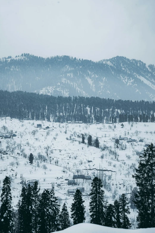 the mountain with a lot of snow on it