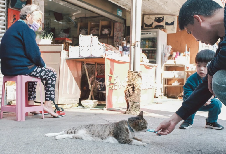 a boy kneeling down while petting a cat on the ground