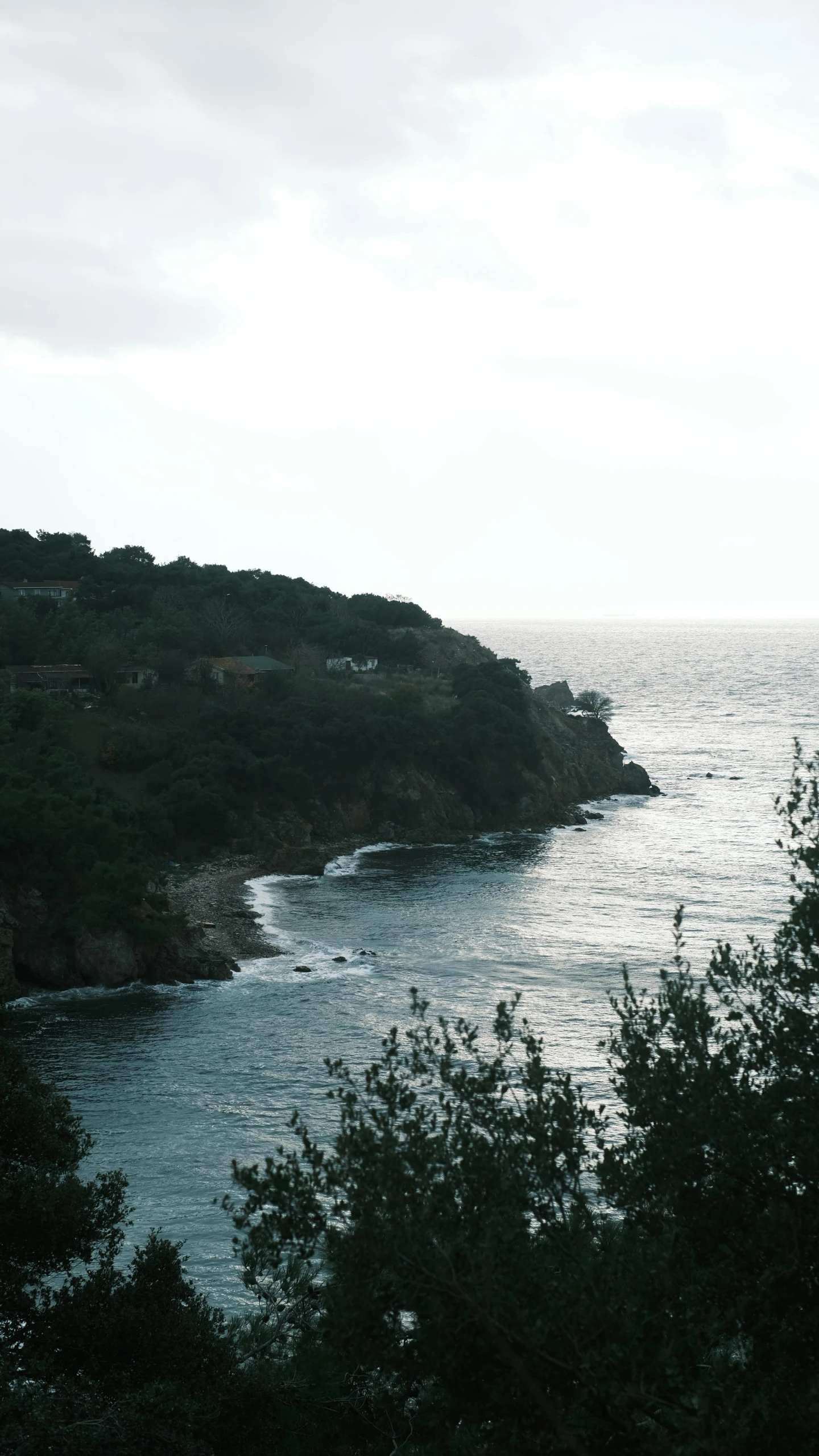 a view of some water and trees