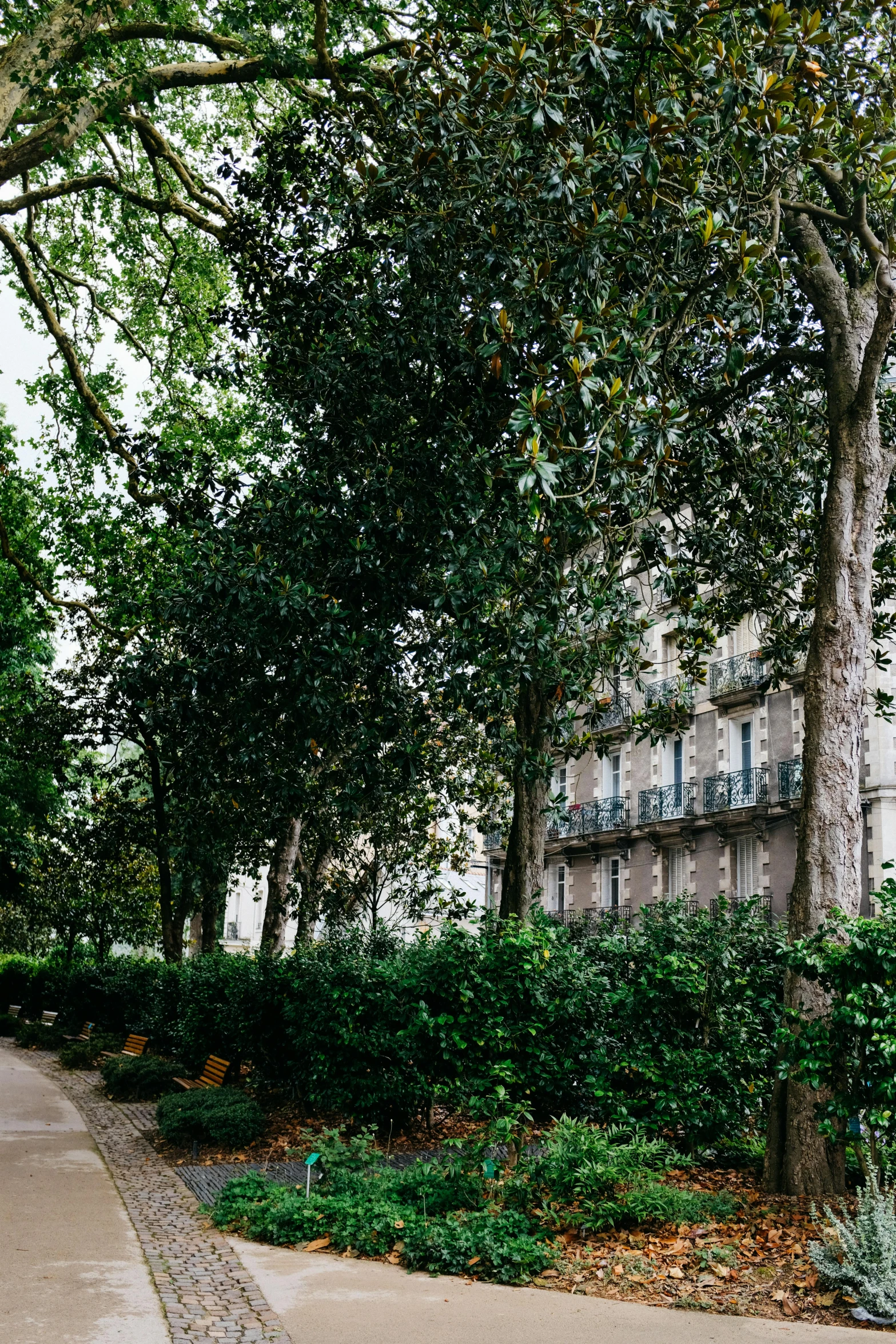 a bench is positioned between two streets