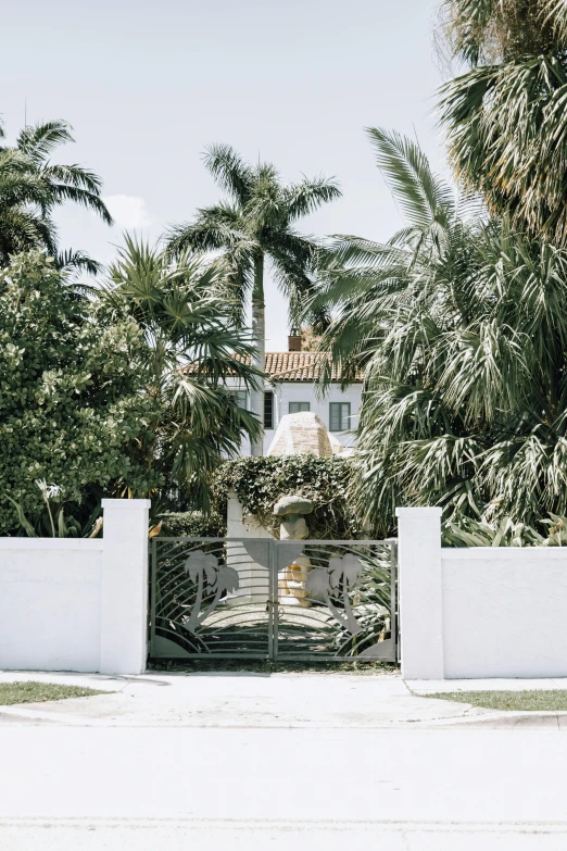 a house with palm trees and gate that leads into the backyard