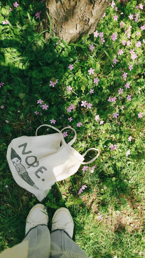 a white bag is hanging from a tree