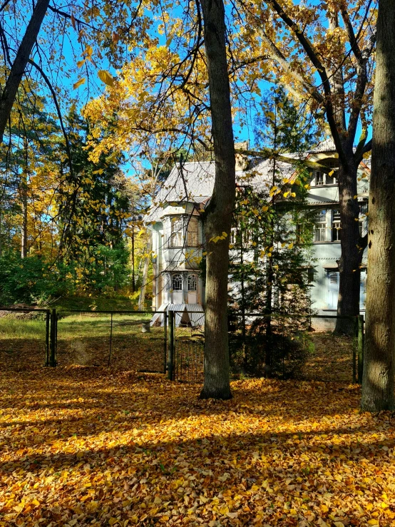 there is a house in the woods, surrounded by leaves