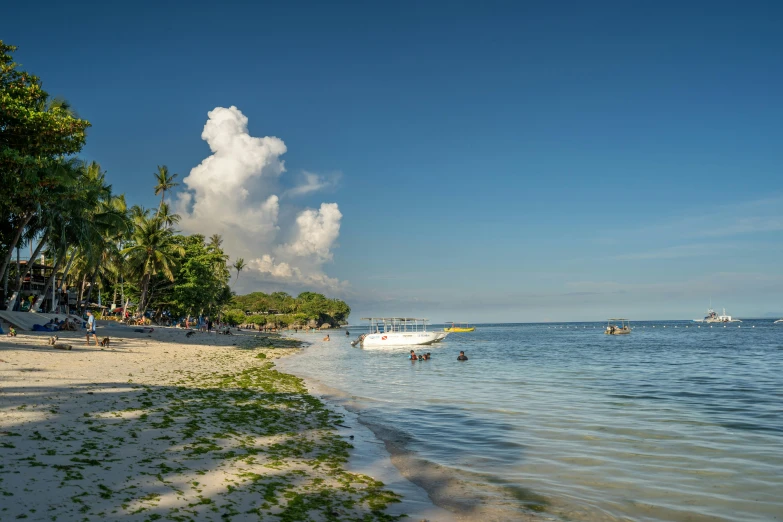 a beach is surrounded by trees and boats