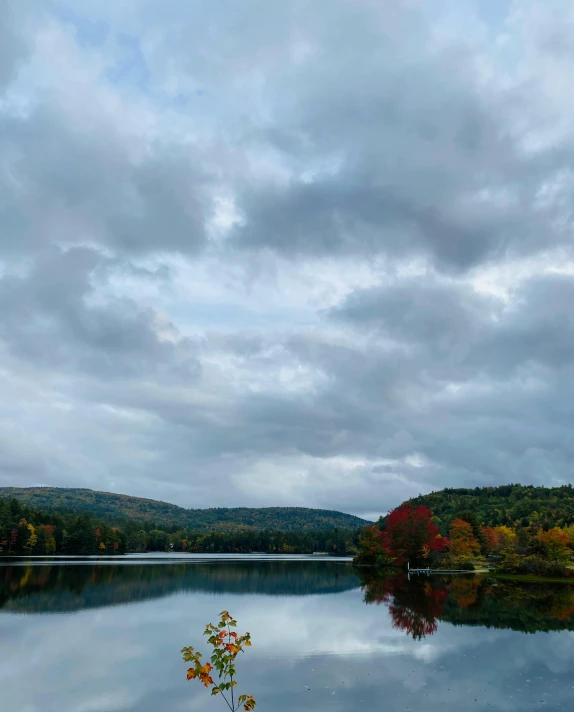 a very cloudy day on a lake with a tree reflecting in the water