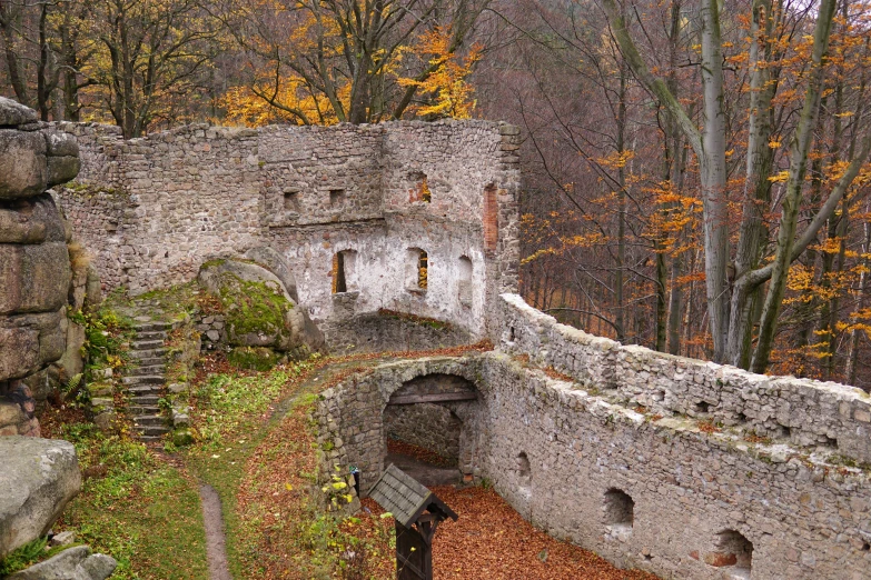 an old brick wall is built into the woods