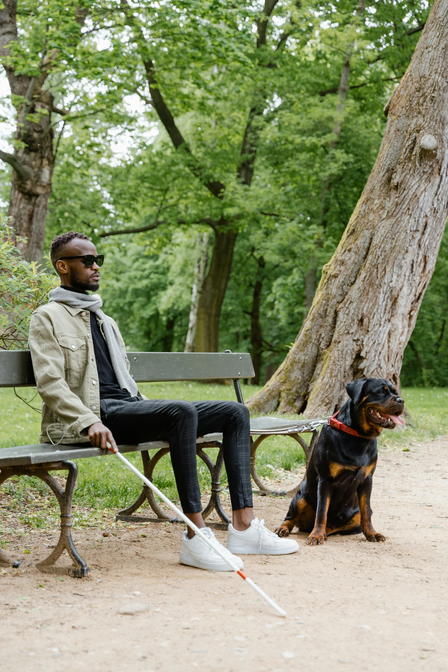 a person with a leash on and sitting on a bench next to a dog