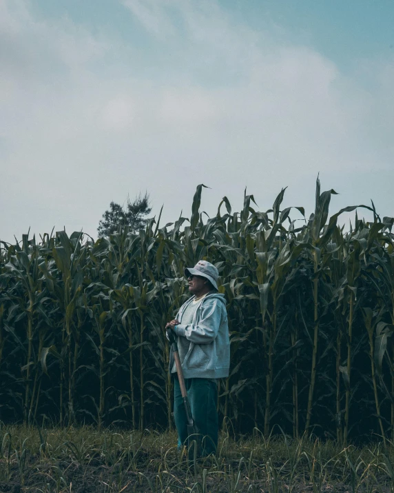 man holding a cane near corn field