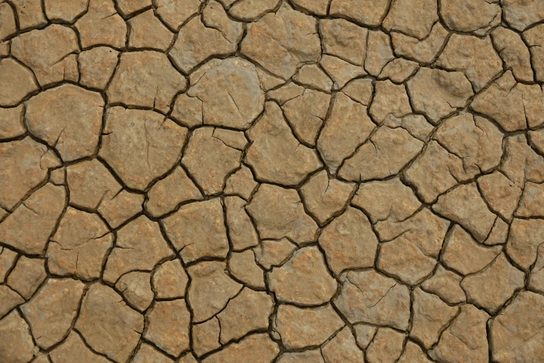 dried ground is made of rocks and dry land