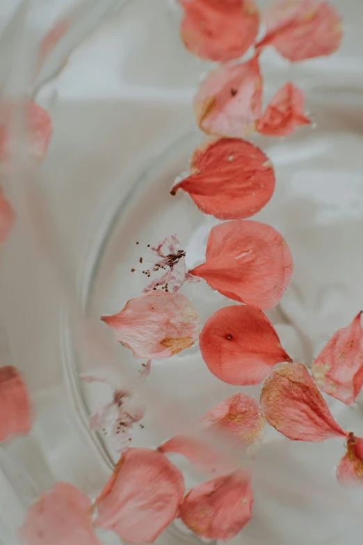 a glass plate with rose petals floating on the table