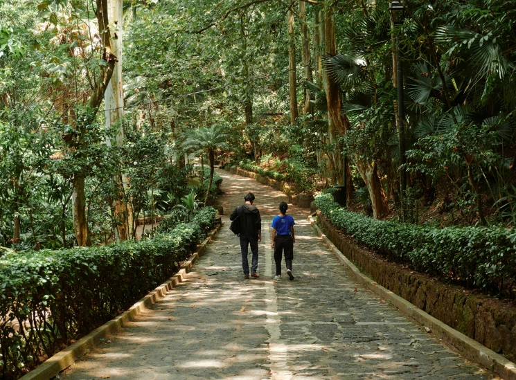 the man and woman walk along the path between the hedges