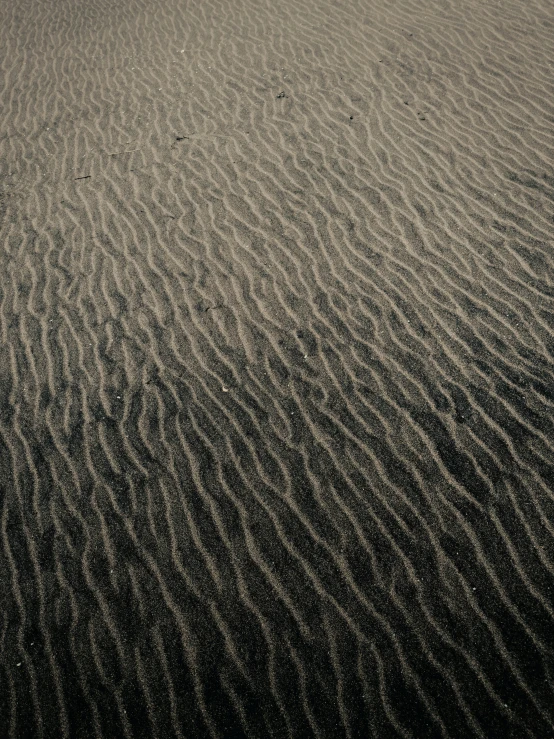 sand ripples are moving across a large expanse of sand