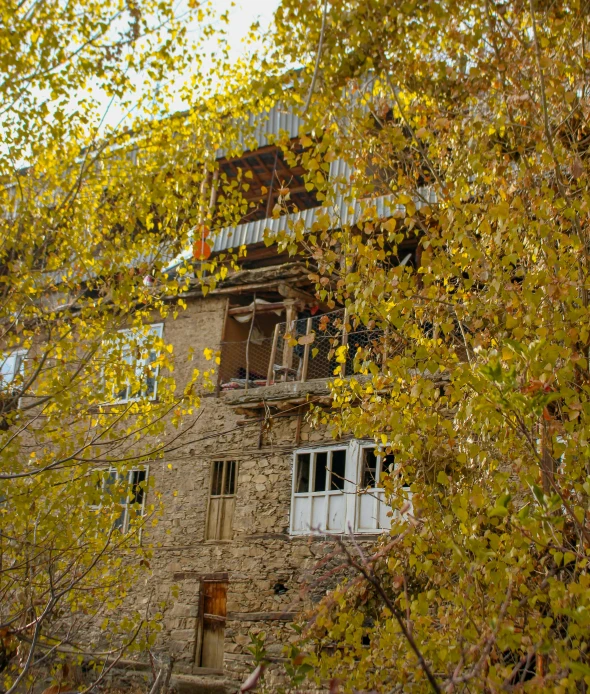 a very old building with lots of windows and fall colored trees