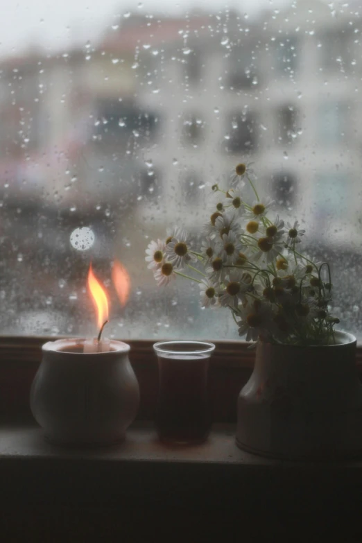 some flower pots sitting on a window sill in the rain