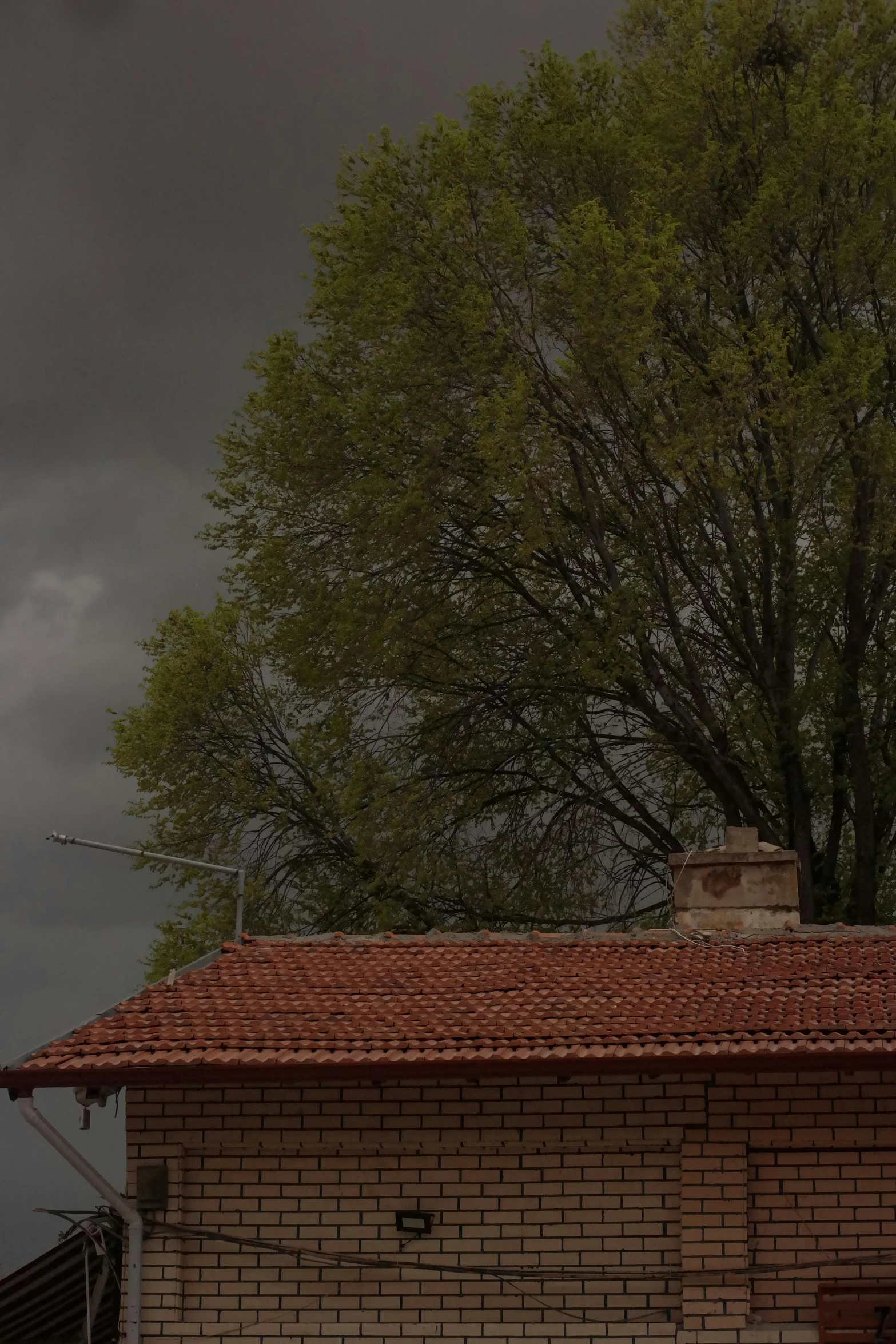 a brick house sitting under a large tree