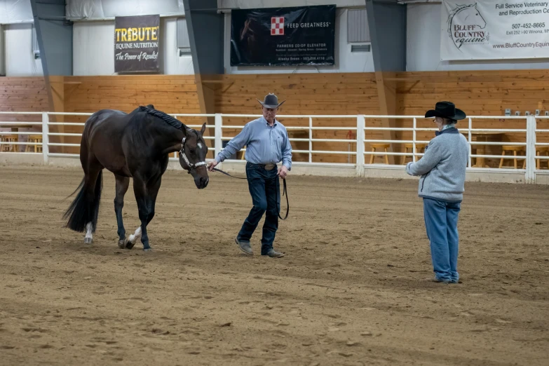 two men stand around a horse in an arena