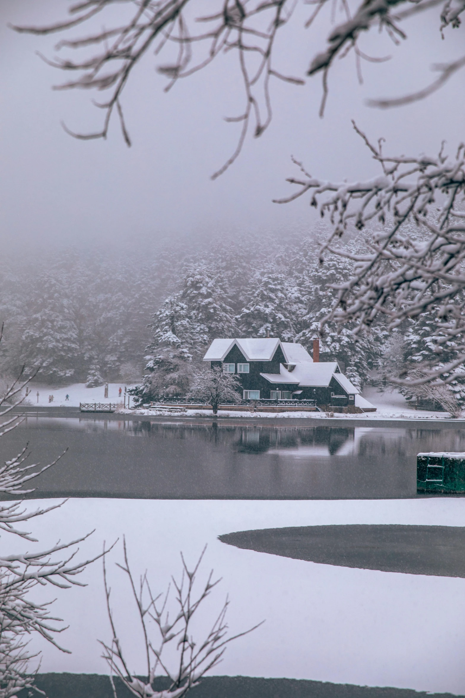 the snowy landscape of the lake house is majestic