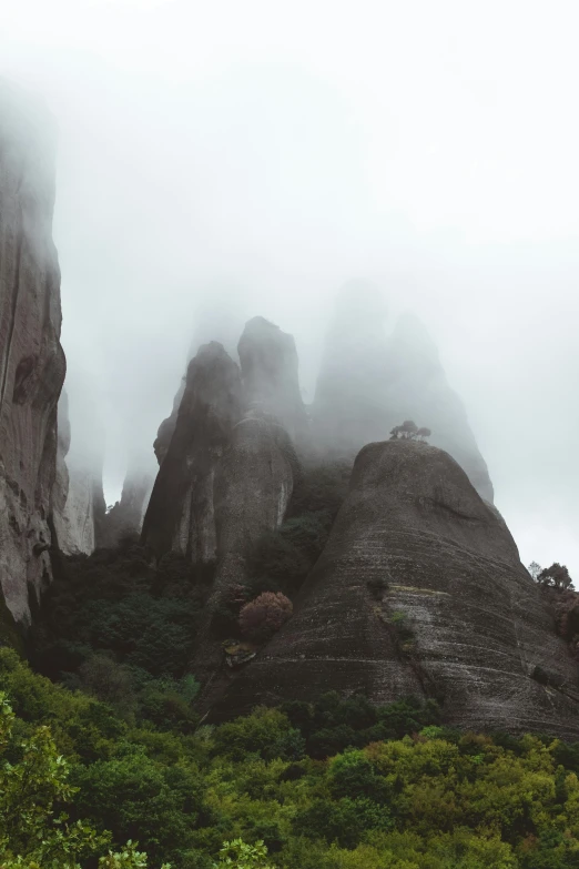 some rocks are in the forest in the middle of fog