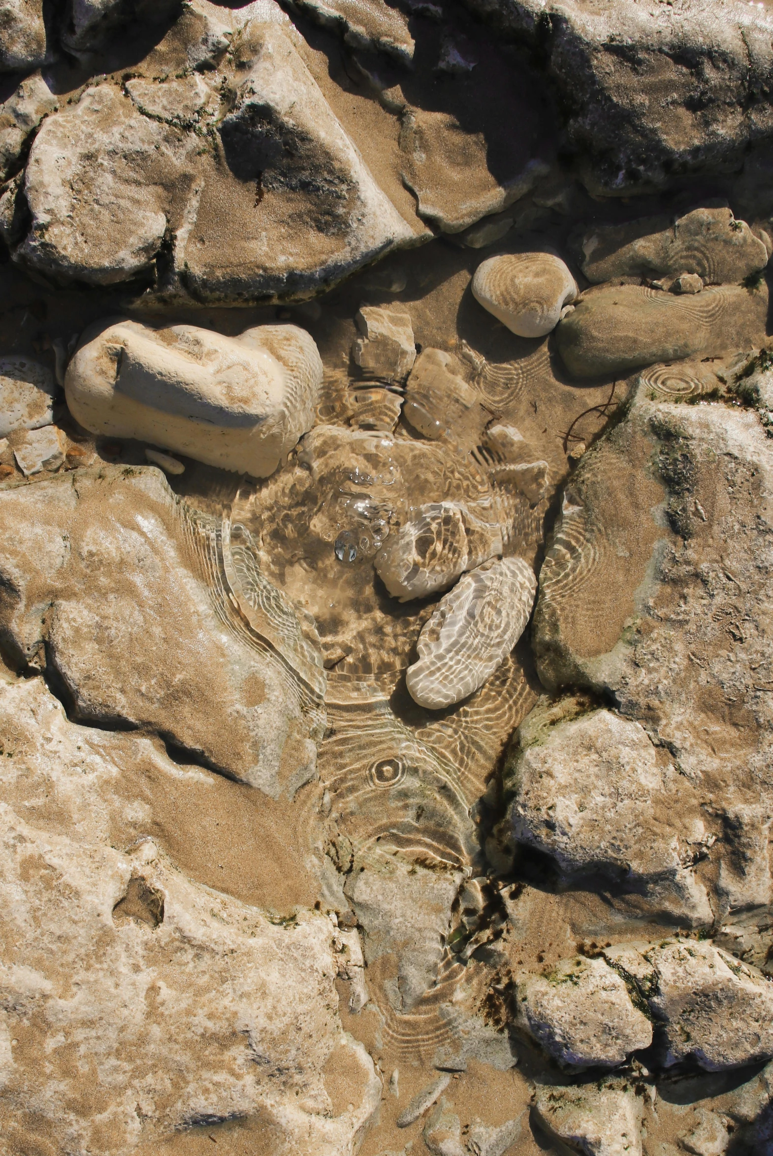 an abstract image of a turtle and rocks