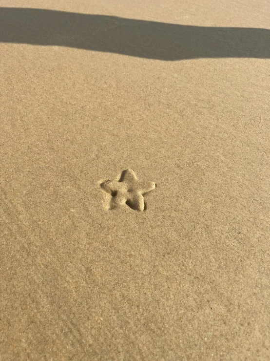 there is a bird footprints in the sand