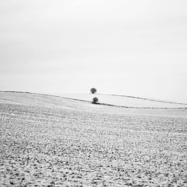a lone tree standing on a hill by itself