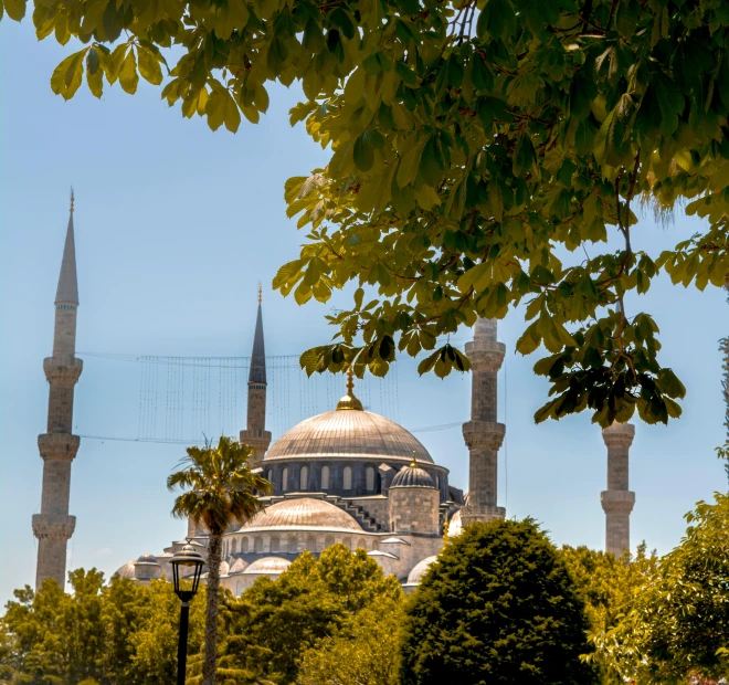 a building with several domes, seen through some trees