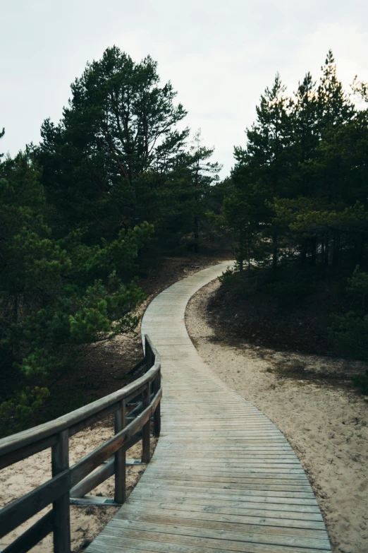 a long walkway with lots of trees on both sides