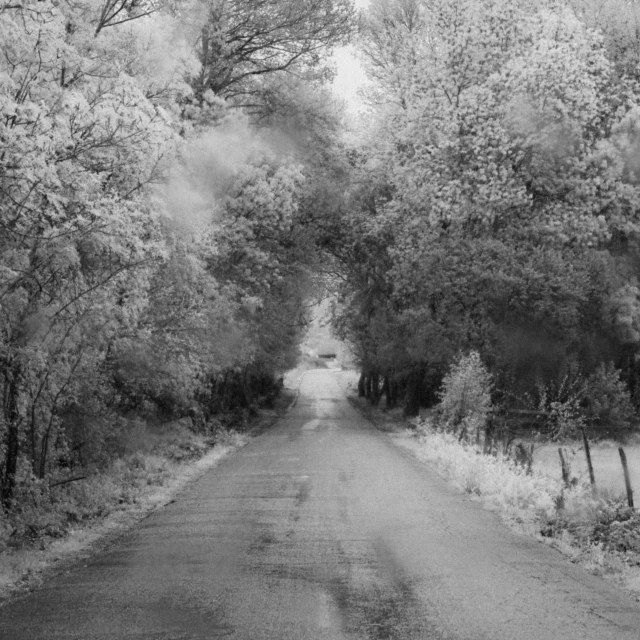 a rural country road is pictured in this black and white pograph