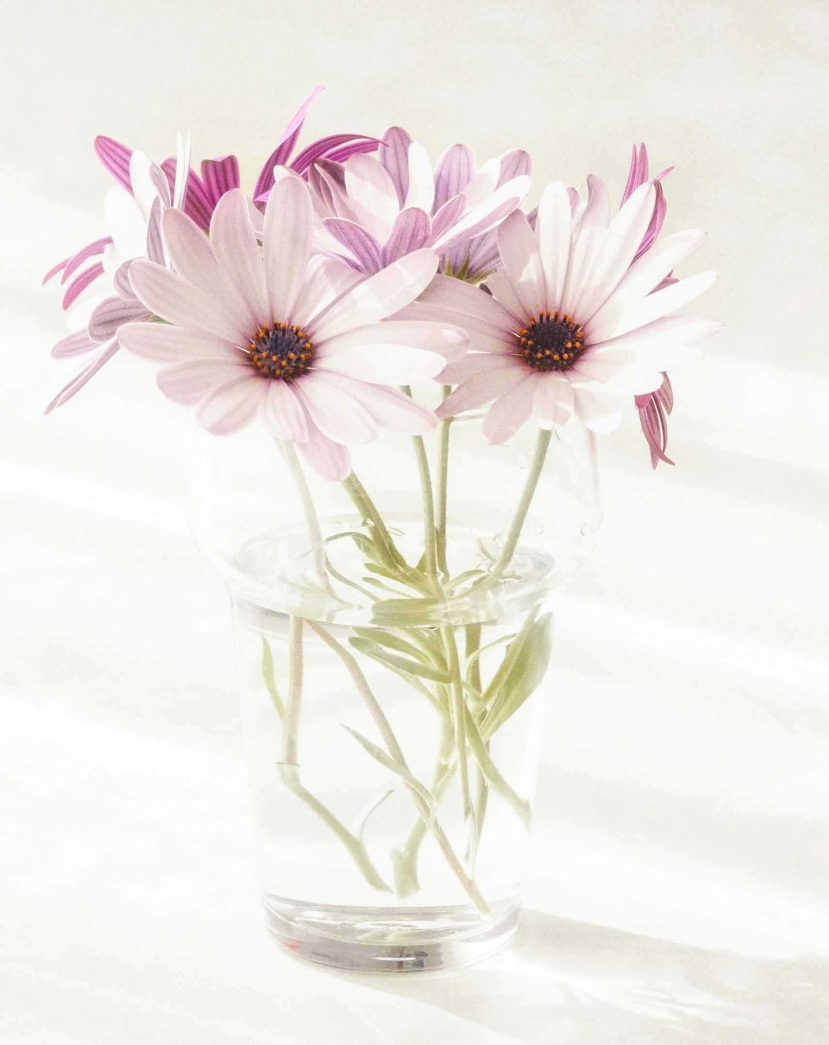 this is some flowers in a glass vase