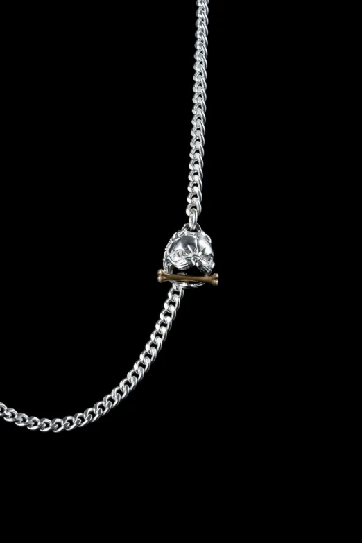 a silver bird on a chain necklace against a black background